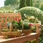 Garden Trug klein